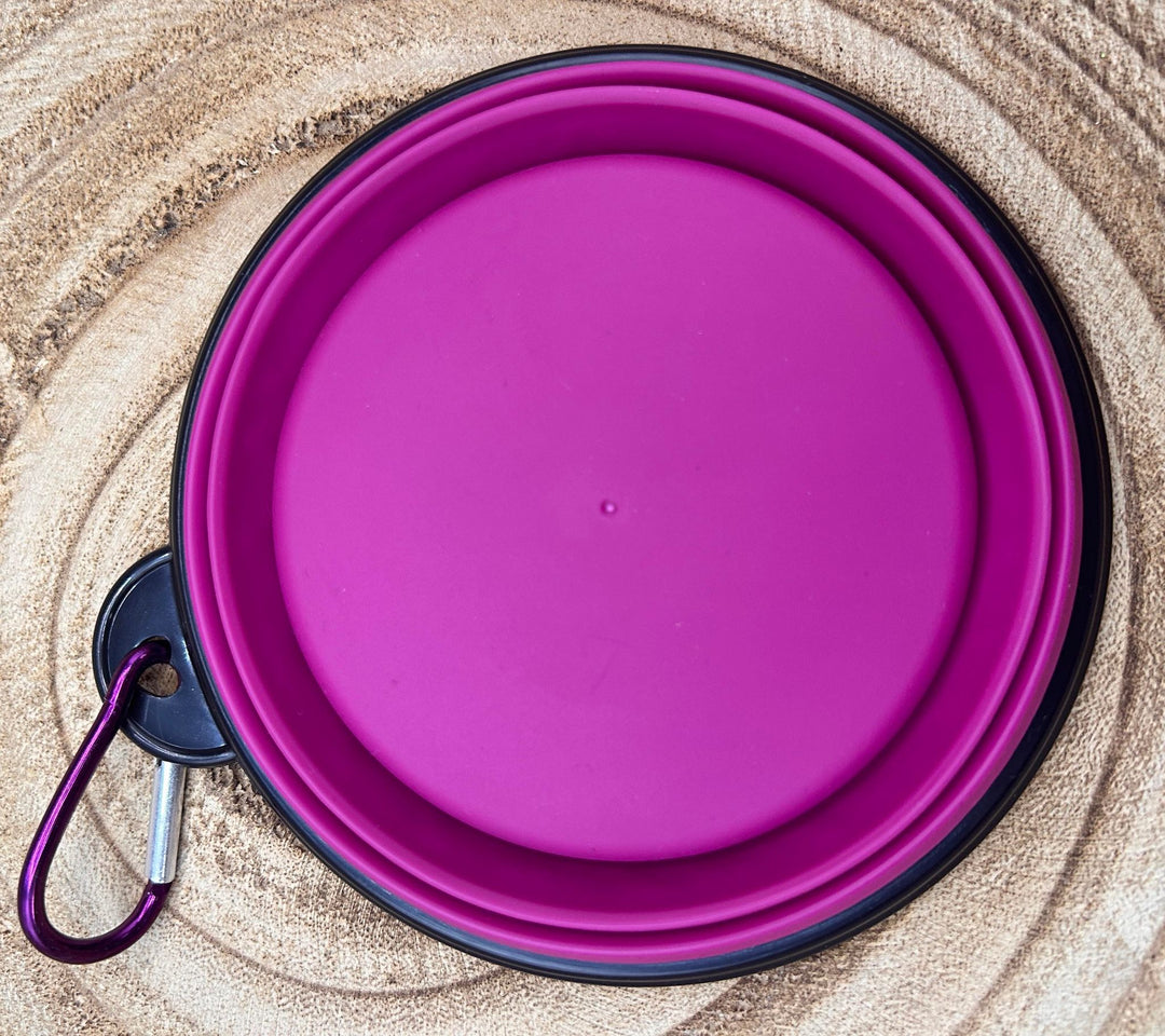 ON-THE-GO PET BOWL