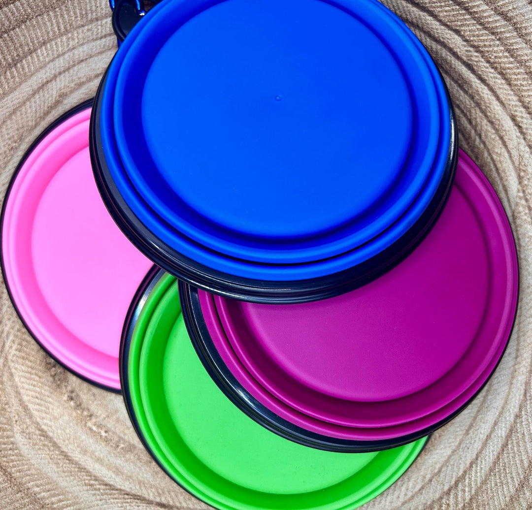 ON-THE-GO PET BOWL