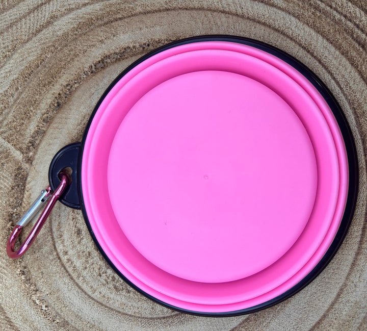 ON-THE-GO PET BOWL
