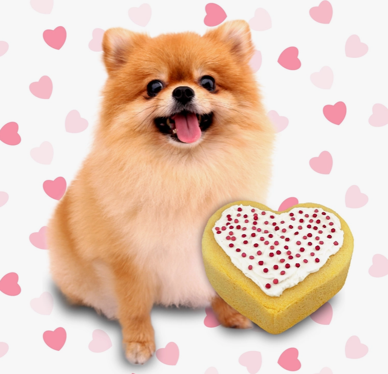 PUPPY LOVE CAKE KIT
