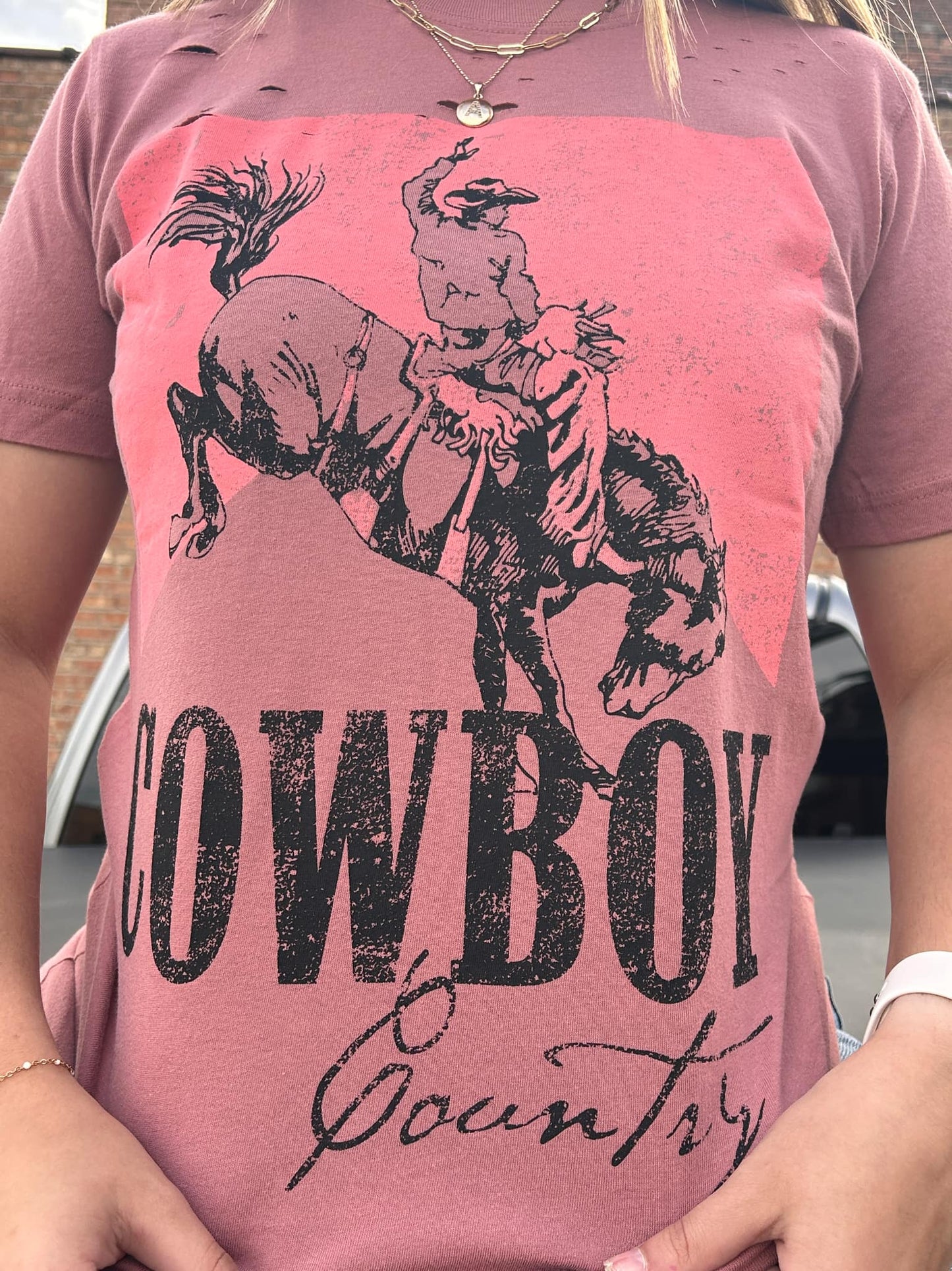 COWBOY COUNTRY RODEO GRAPHIC TEE