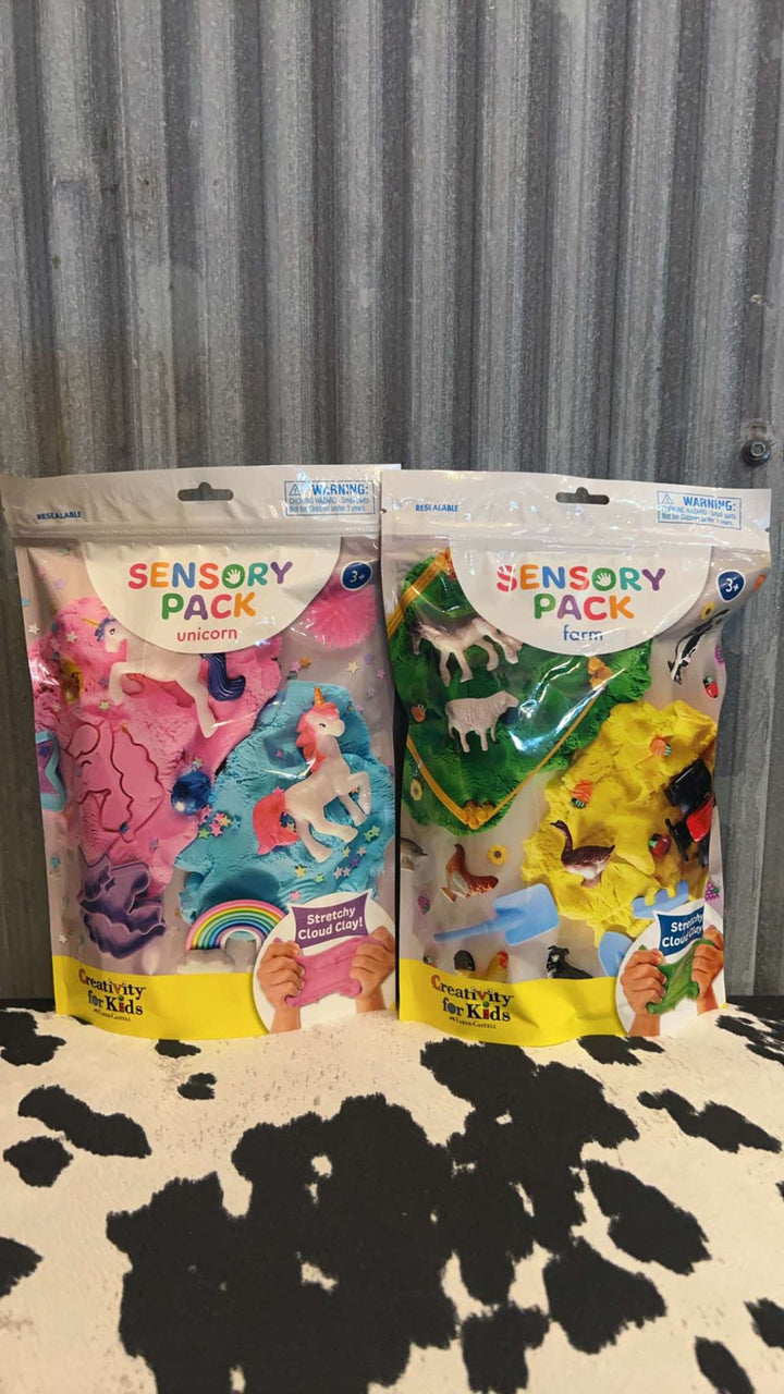 SENSORY PACK ON THE GO