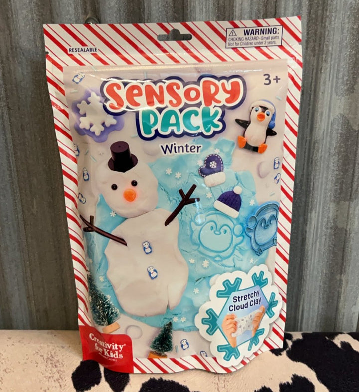 WINTER SENSORY PACK ON THE GO
