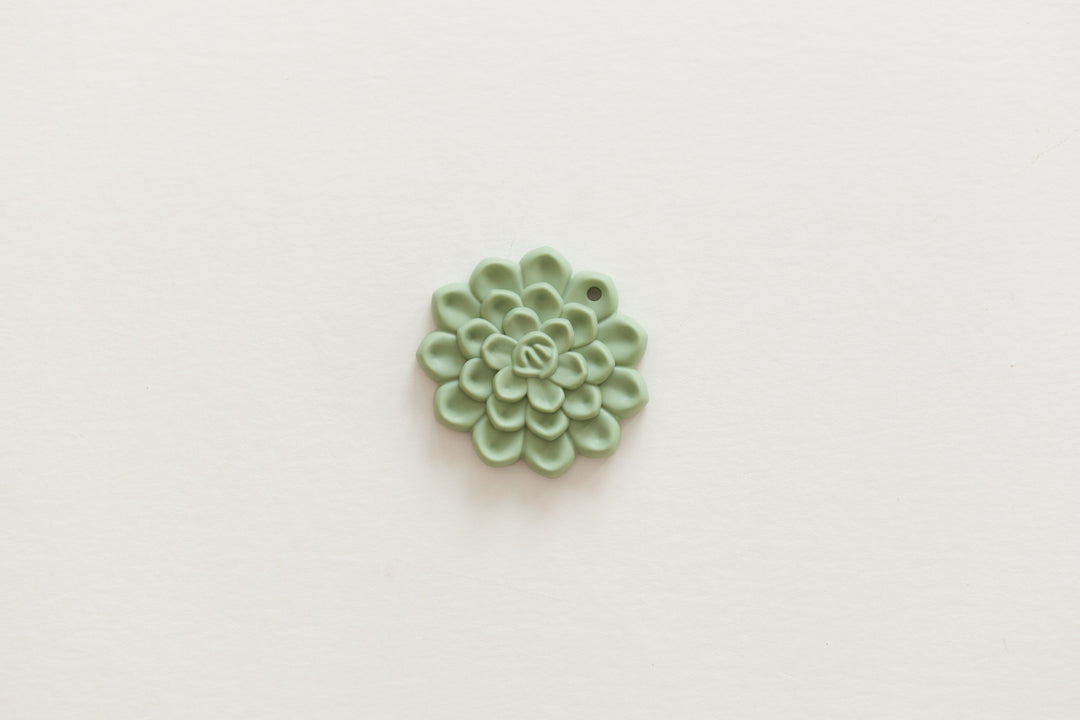 Succulent Teethers