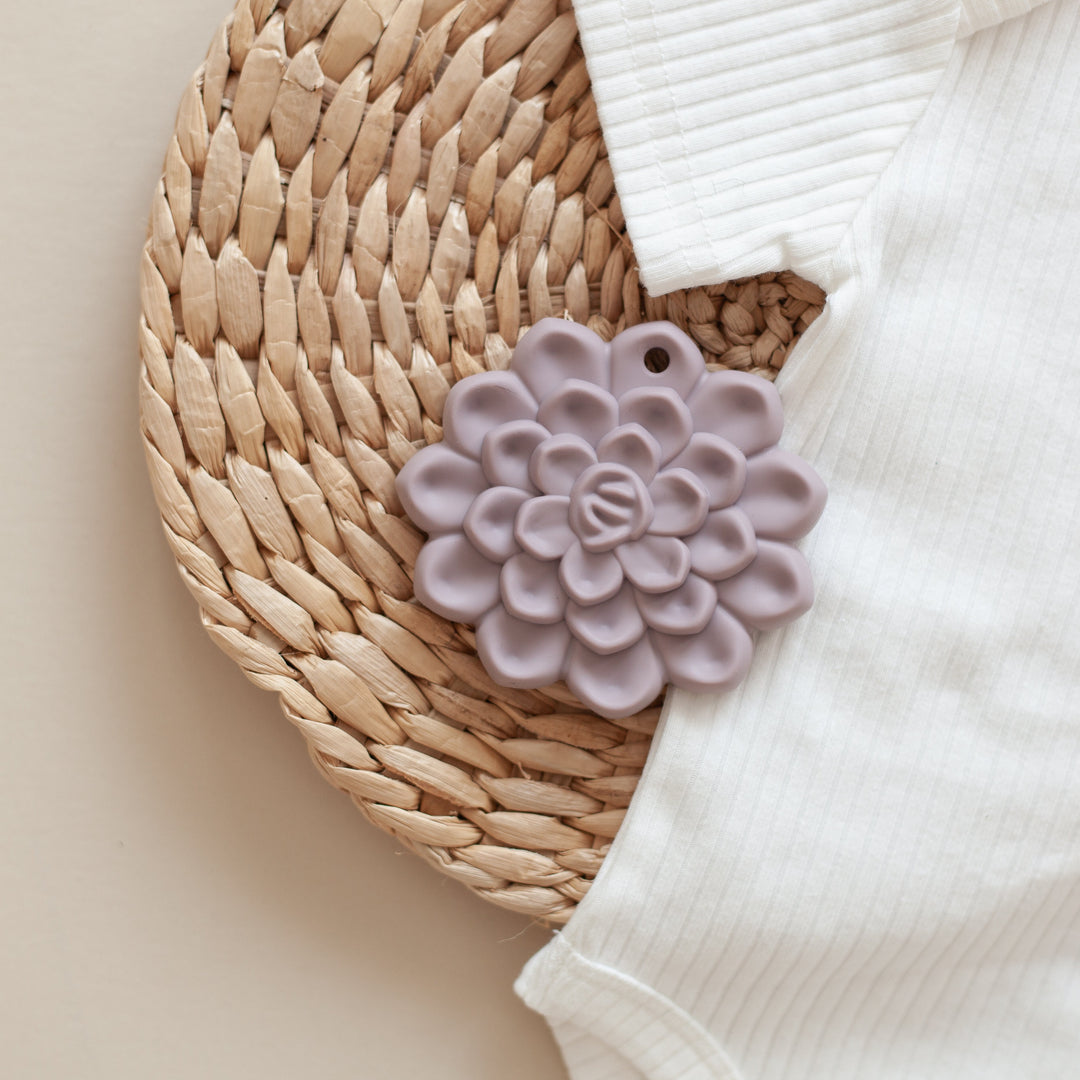 Succulent Teethers