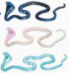 3D PRINTED SNAKE