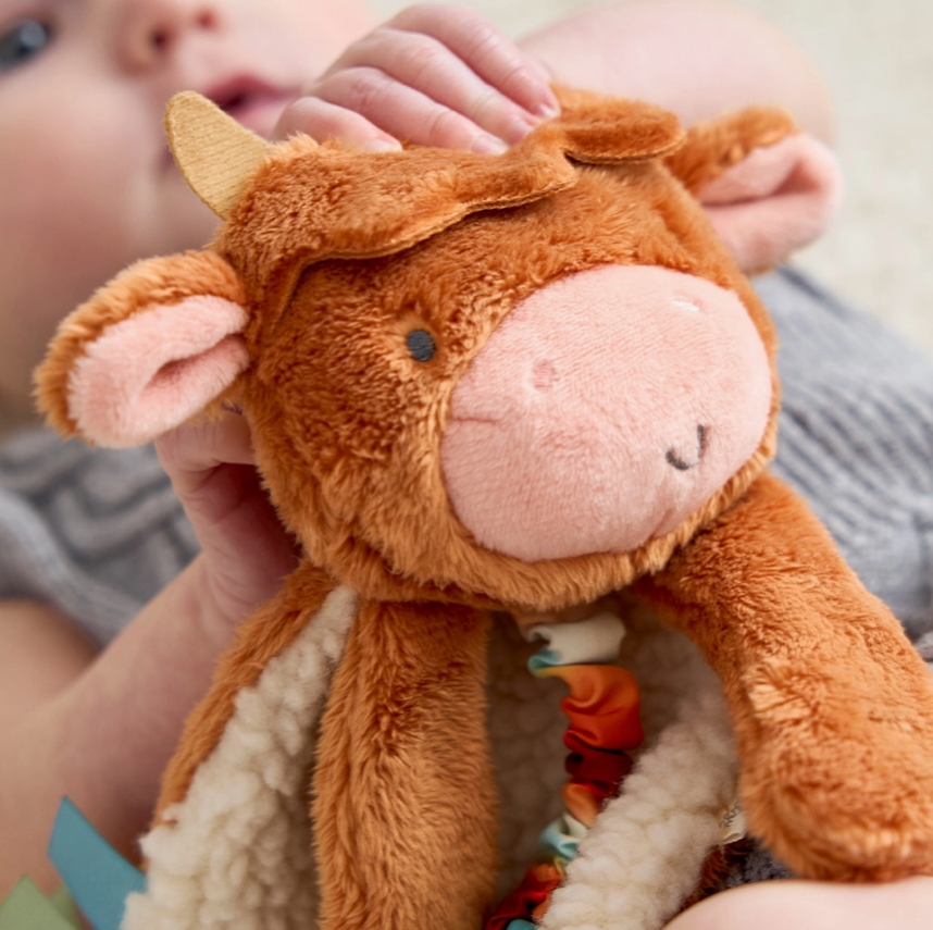 ITZY HIGHLAND LOVEY PLUSH & TEETHER