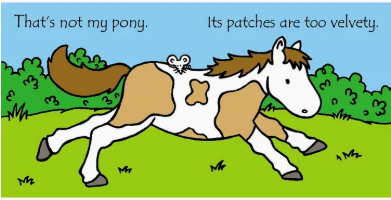 THAT'S NOT MY PONY