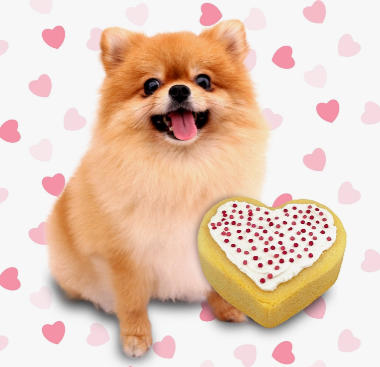 Puppy Love Cake Kit