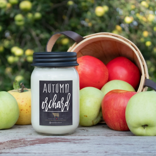 AUTUMN ORCHARD 13 OZ MASON JAR SOY CANDLE