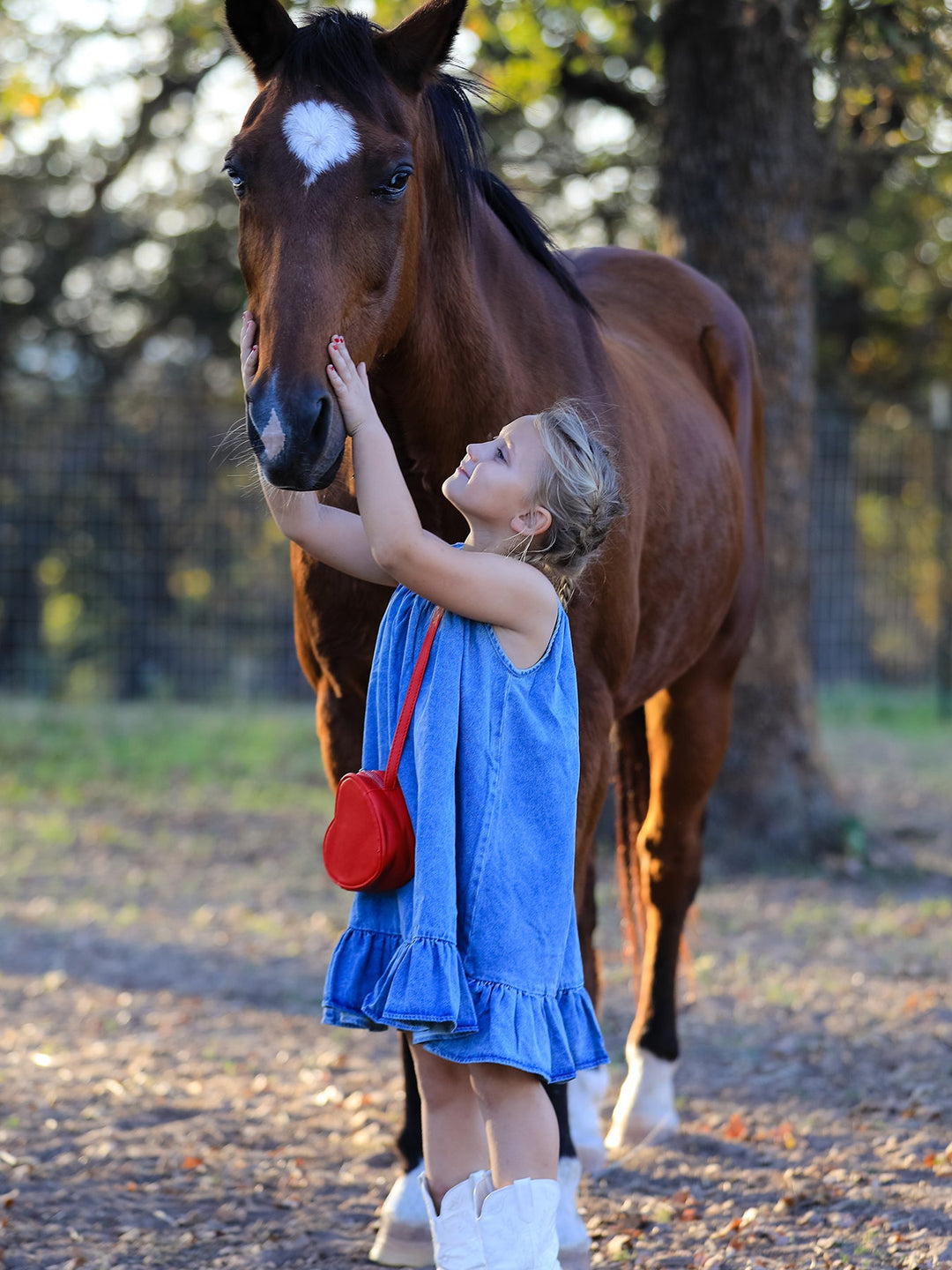 Girls Denim Ruffle Trim A-Line Dress
